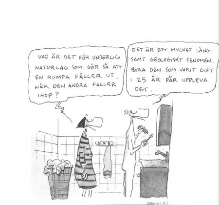 Bifogad bild