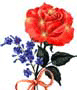 Bifogad bild