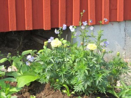 Bifogad bild