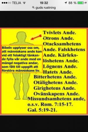 Bifogad bild
