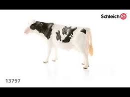 Bifogad bild