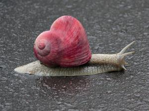 Bifogad bild