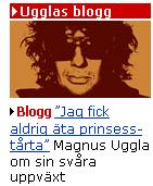 Bifogad bild