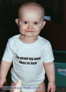Bifogad bild