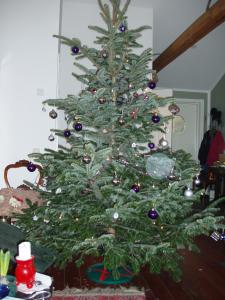 Bifogad bild