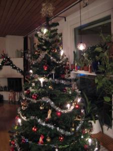 Bifogad bild