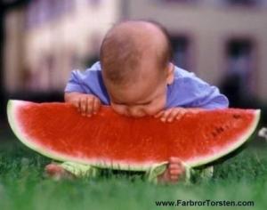 Bifogad bild