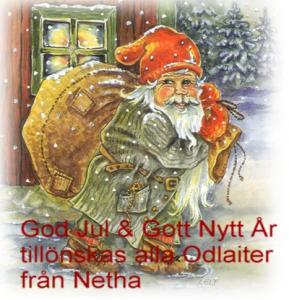 Bifogad bild