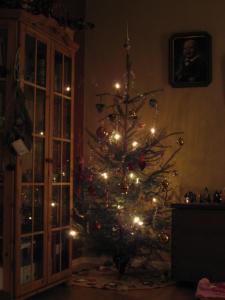 Bifogad bild