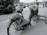Bifogad bild