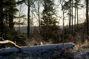Bifogad bild