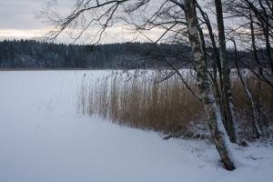 Bifogad bild