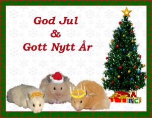 Bifogad bild