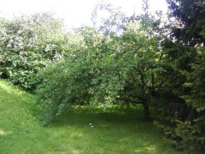Bifogad bild