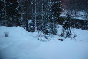 Bifogad bild