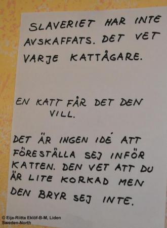 Bifogad bild