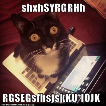 Bifogad bild