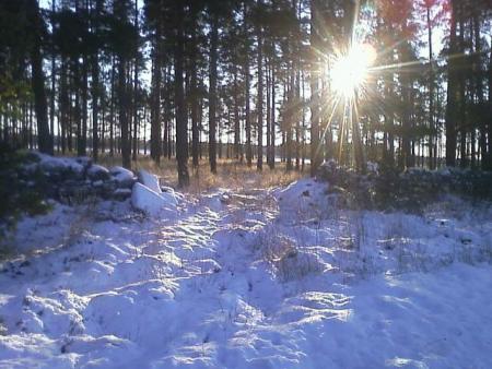 Bifogad bild