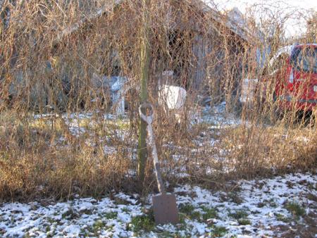 Bifogad bild