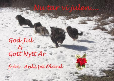 Bifogad bild